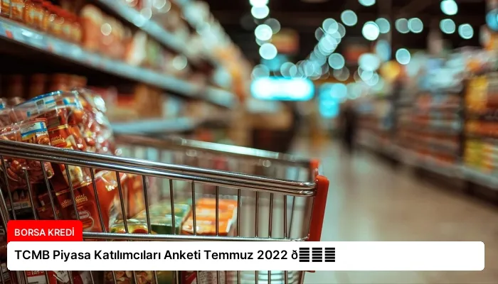 TCMB Piyasa Katılımcıları Anketi Temmuz 2022 📊