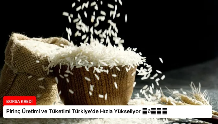 Pirinç Üretimi ve Tüketimi Türkiye’de Hızla Yükseliyor ⏬👇