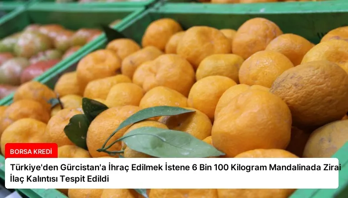 Türkiye’den Gürcistan’a İhraç Edilmek İstene 6 Bin 100 Kilogram Mandalinada Zirai İlaç Kalıntısı Tespit Edildi