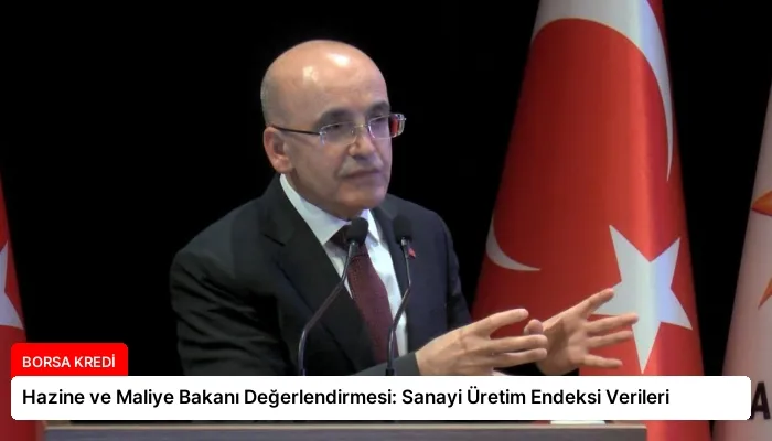 Hazine ve Maliye Bakanı Değerlendirmesi: Sanayi Üretim Endeksi Verileri