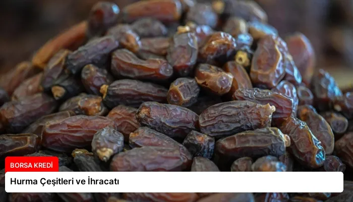 Hurma Çeşitleri ve İhracatı