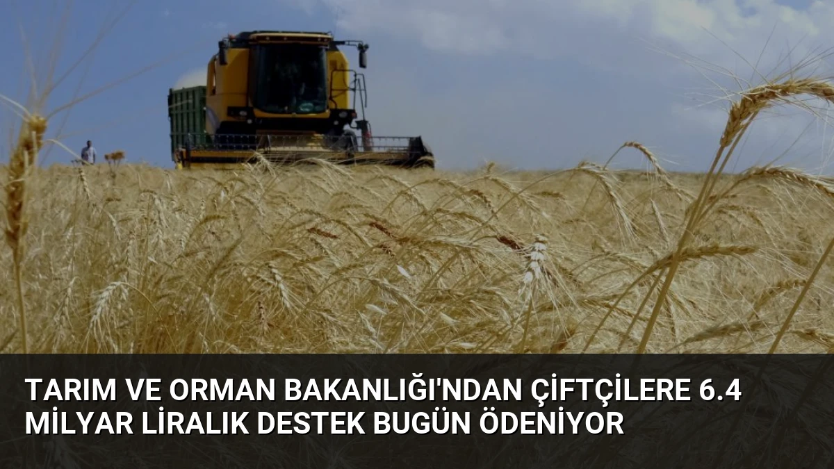 Tarım ve Orman Bakanlığı’ndan Çiftçilere 6.4 Milyar Liralık Destek Bugün Ödeniyor
