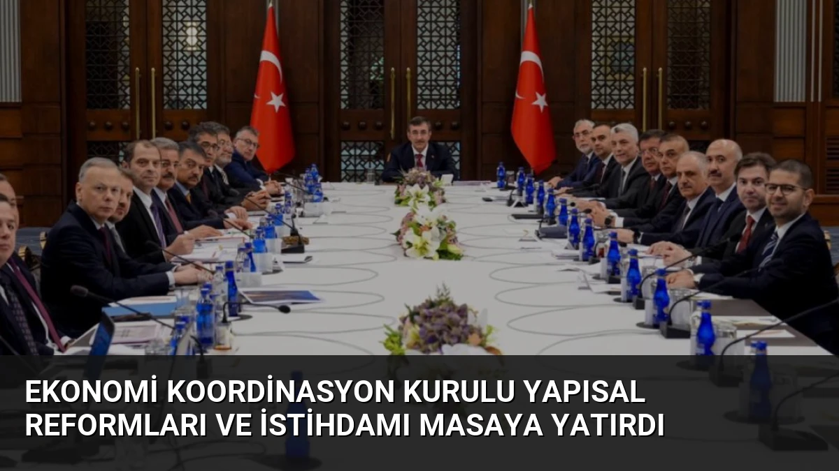 Ekonomi Koordinasyon Kurulu Yapısal Reformları ve İstihdamı Masaya Yatırdı