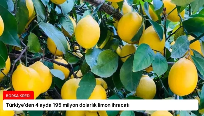 Türkiye’den 4 ayda 195 milyon dolarlık limon ihracatı