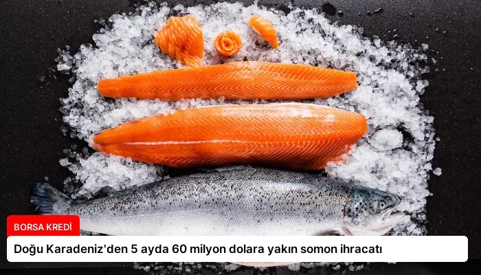 Doğu Karadeniz’den 5 ayda 60 milyon dolara yakın somon ihracatı