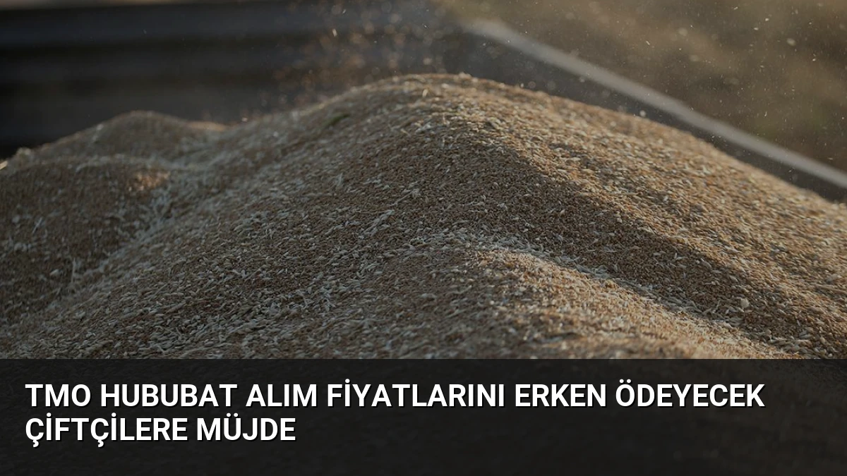 TMO Hububat Alım Fiyatlarını Erken Ödeyecek Çiftçilere Müjde