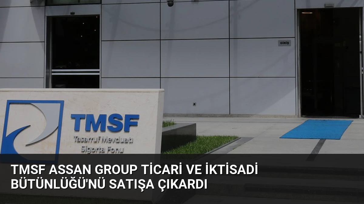 TMSF Assan Group Ticari ve İktisadi Bütünlüğü’nü Satışa Çıkardı