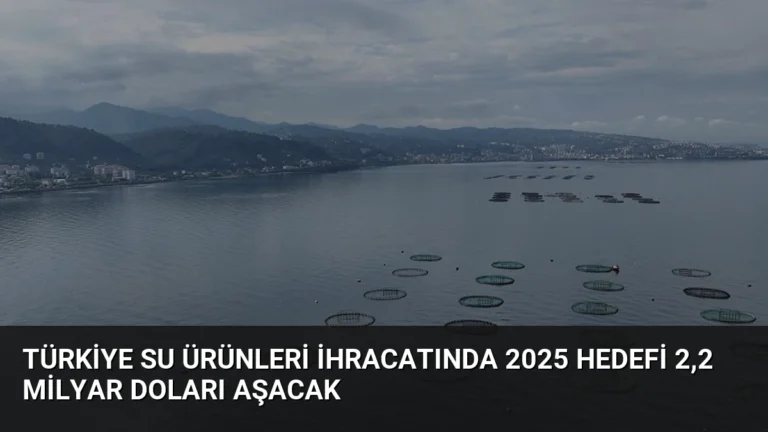 Türkiye Su Ürünleri İhracatında 2025 Hedefi 2,2 Milyar Doları Aşacak