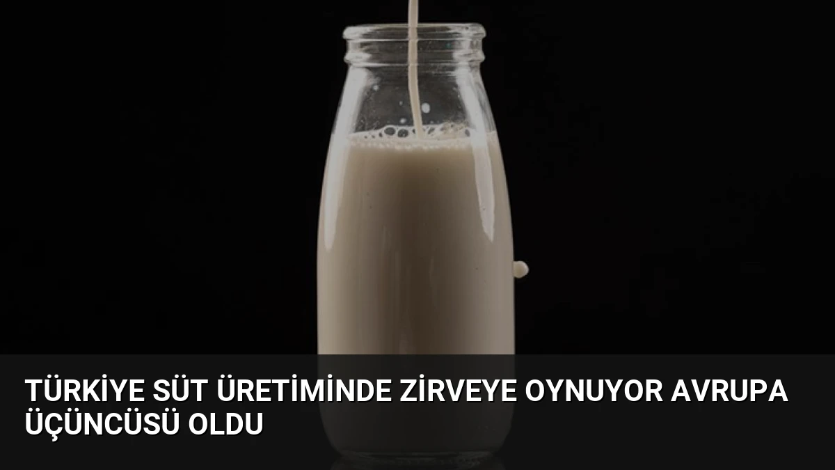 Türkiye Süt Üretiminde Zirveye Oynuyor Avrupa Üçüncüsü Oldu