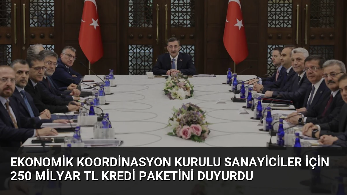 Ekonomik Koordinasyon Kurulu Sanayiciler İçin 250 Milyar TL Kredi Paketini Duyurdu