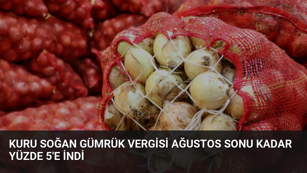 Kuru Soğan Gümrük Vergisi Ağustos Sonu Kadar Yüzde 5’e İndi