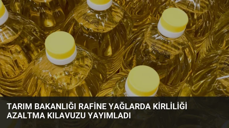 Tarım Bakanlığı Rafine Yağlarda Kirliliği Azaltma Kılavuzu Yayımladı
