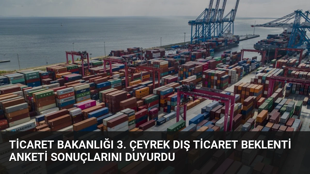 Ticaret Bakanlığı 3. Çeyrek Dış Ticaret Beklenti Anketi Sonuçlarını Duyurdu
