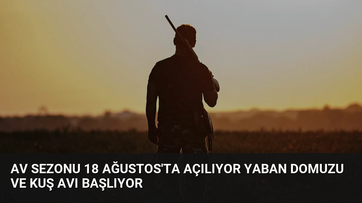 Av Sezonu 18 Ağustos’ta Açılıyor Yaban Domuzu ve Kuş Avı Başlıyor