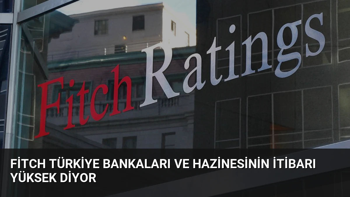 Fitch Türkiye Bankaları ve Hazinesinin İtibarı Yüksek Diyor