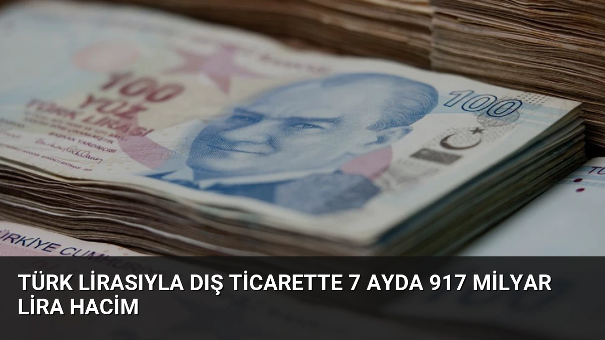 Türk Lirasıyla Dış Ticarette 7 Ayda 917 Milyar Lira Hacim