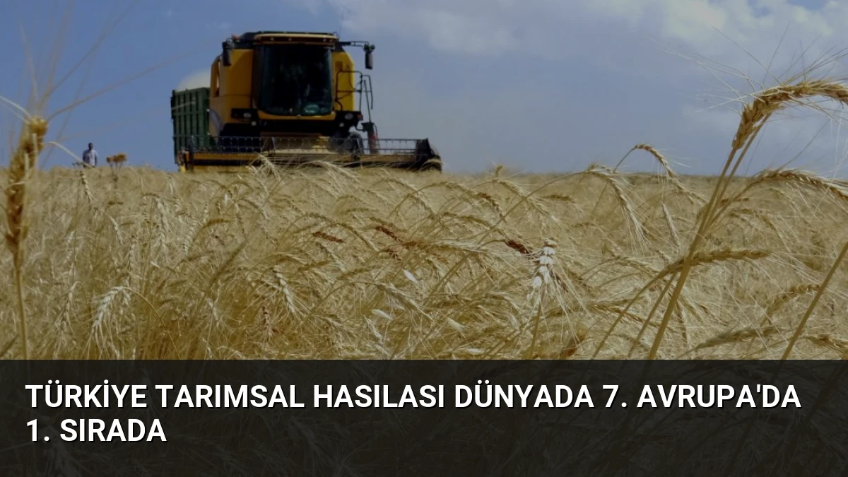 Türkiye Tarımsal Hasılası Dünyada 7. Avrupa’da 1. Sırada