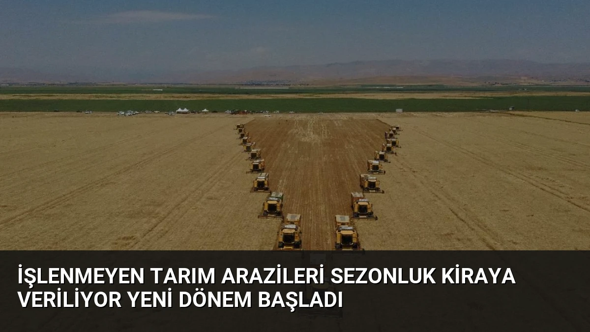 İşlenmeyen Tarım Arazileri Sezonluk Kiraya Veriliyor Yeni Dönem Başladı