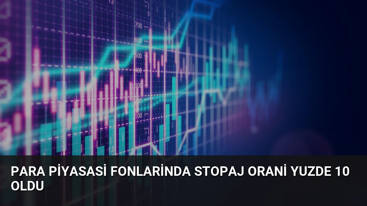 Para Piyasasi Fonlarinda Stopaj Orani Yuzde 10 Oldu