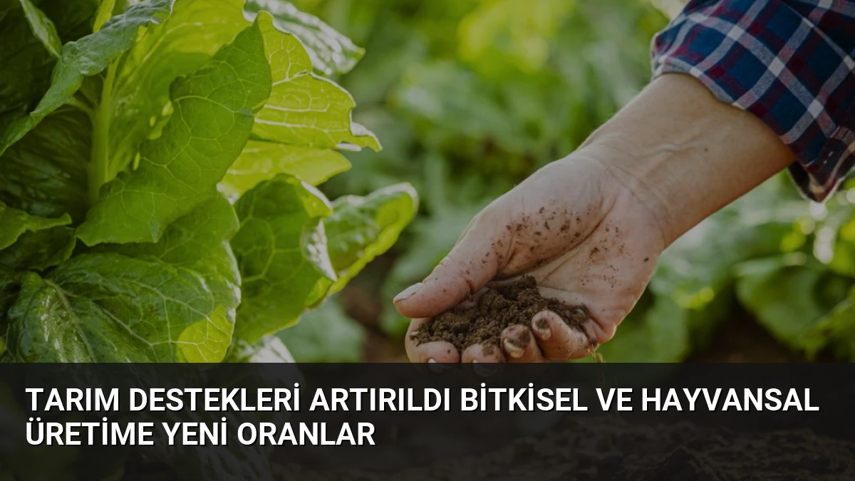 Tarım Destekleri Artırıldı Bitkisel ve Hayvansal Üretime Yeni Oranlar