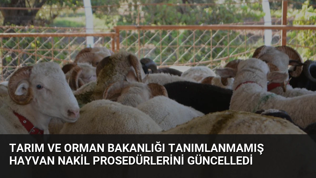 Tarım ve Orman Bakanlığı Tanımlanmamış Hayvan Nakil Prosedürlerini Güncelledi