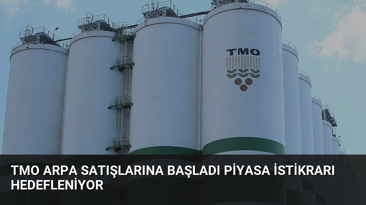 TMO Arpa Satışlarına Başladı Piyasa İstikrarı Hedefleniyor