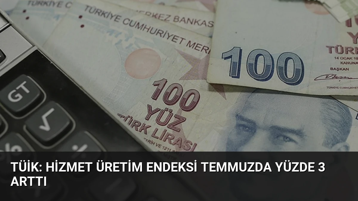 TÜİK: Hizmet Üretim Endeksi Temmuzda Yüzde 3 Arttı