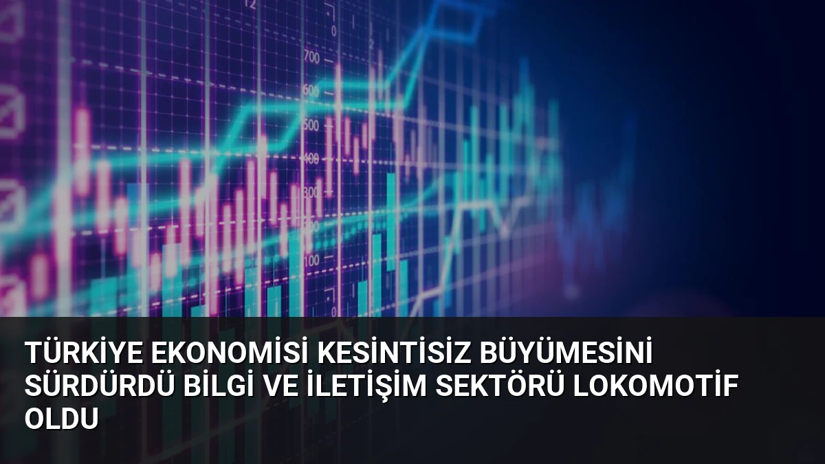 Türkiye Ekonomisi Kesintisiz Büyümesini Sürdürdü Bilgi ve İletişim Sektörü Lokomotif Oldu