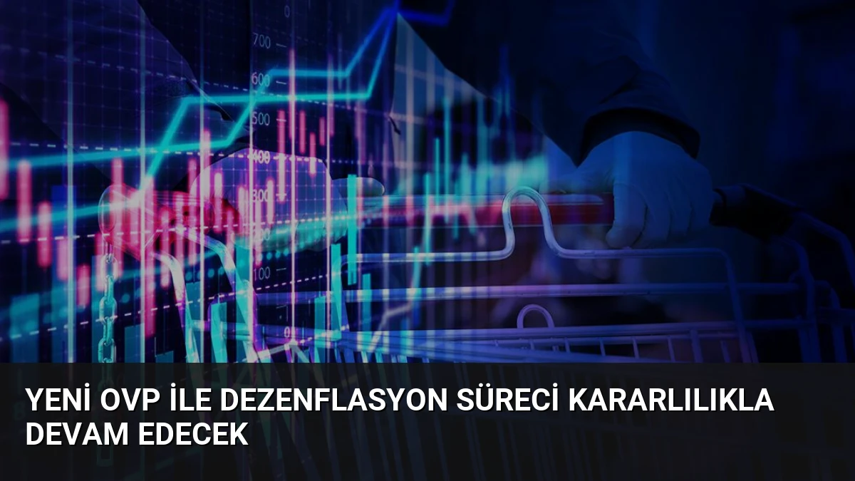 Yeni OVP ile Dezenflasyon Süreci Kararlılıkla Devam Edecek