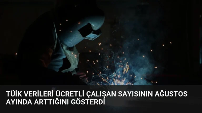TÜİK Verileri Ücretli Çalışan Sayısının Ağustos Ayında Arttığını Gösterdi