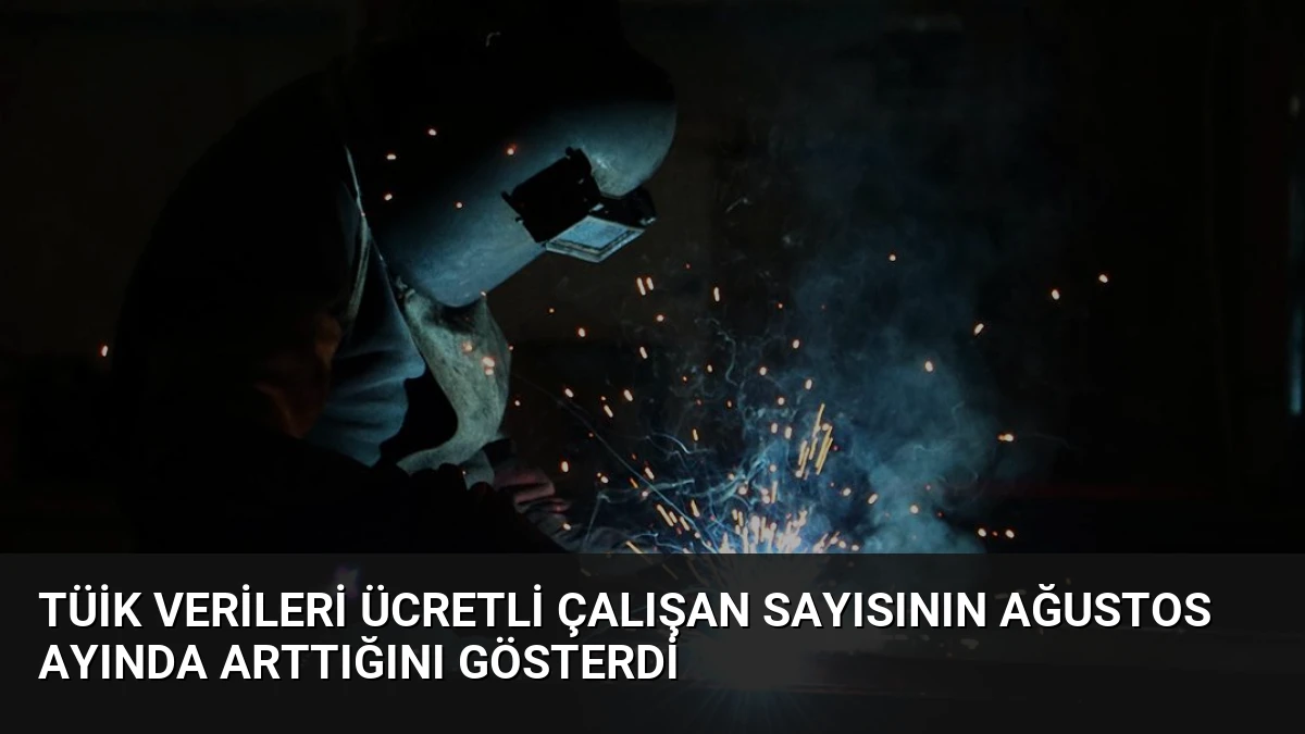 TÜİK Verileri Ücretli Çalışan Sayısının Ağustos Ayında Arttığını Gösterdi