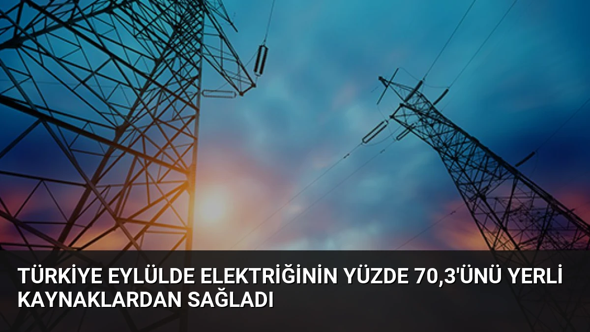 Türkiye Eylülde Elektriğinin Yüzde 70,3’ünü Yerli Kaynaklardan Sağladı