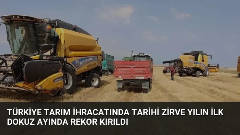 Türkiye Tarım İhracatında Tarihi Zirve Yılın İlk Dokuz Ayında Rekor Kırıldı
